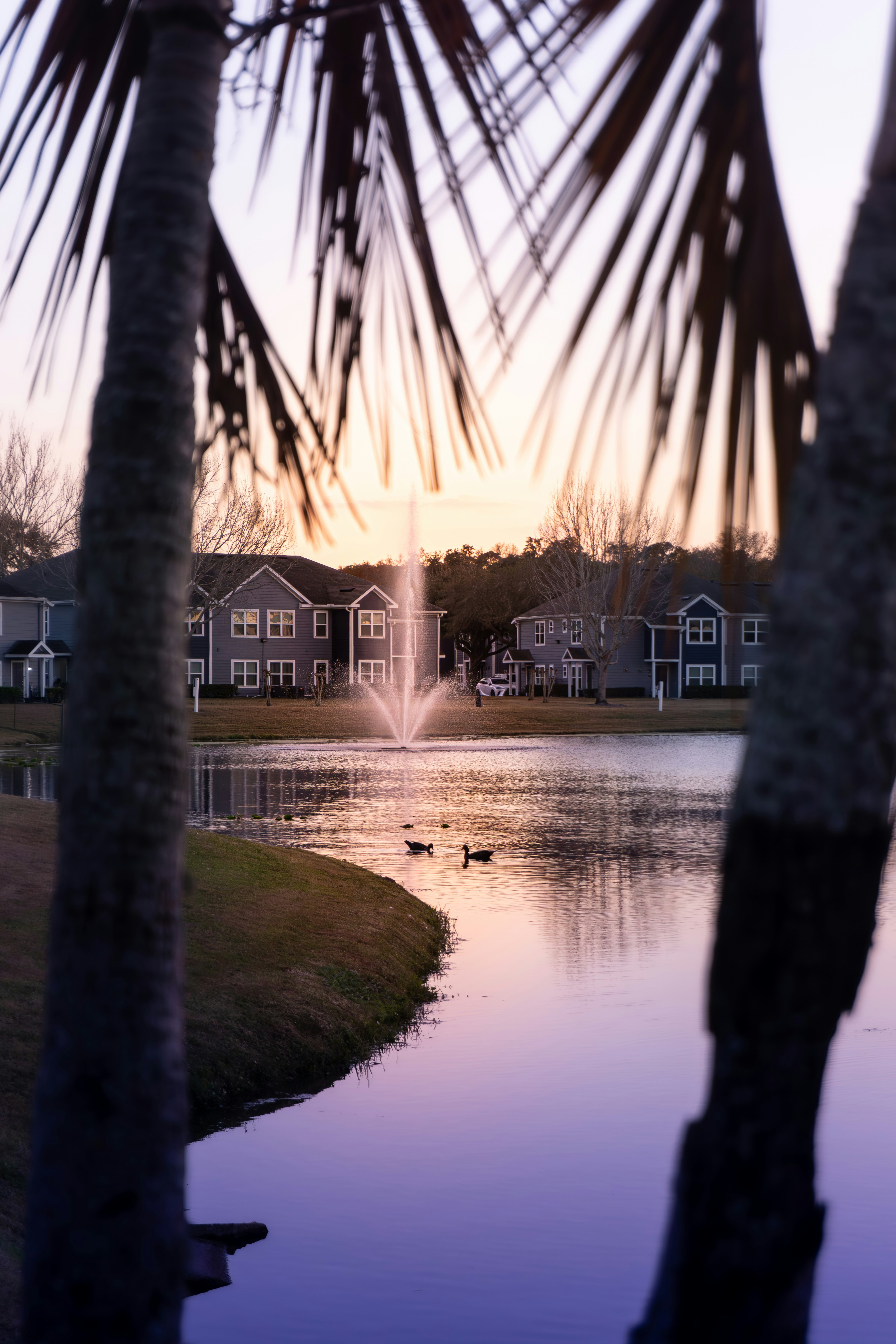 Modern investment property in Winter Park, Florida representing the shift from traditional property management to asset operations